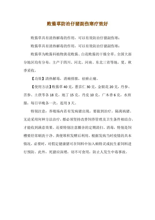 败酱草防治仔猪副伤寒疗效好