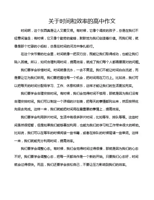 关于时间和效率的高中作文
