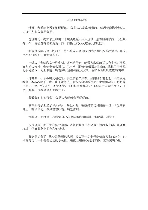 《心灵的栖息地》：寻找内心的宁静