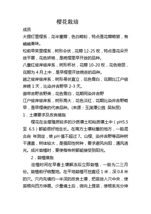 樱花栽培