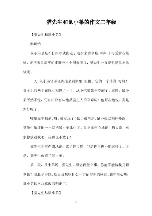 猫先生和鼠小弟的作文三年级