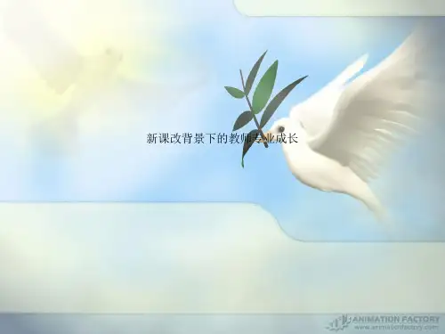 新课改背景下的教师专业成长