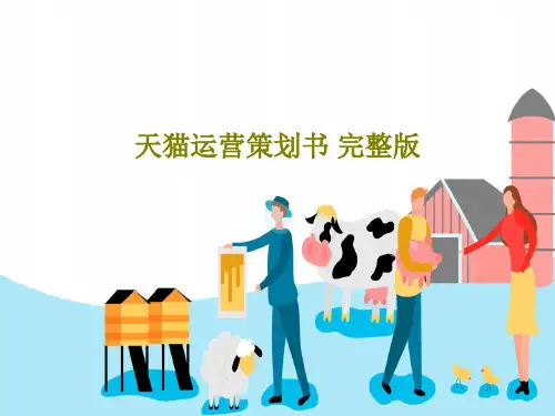 天猫运营策划书 完整版120页PPT