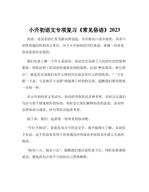 小升初语文专项复习《常见俗语》2023
