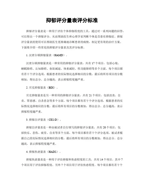 抑郁评分量表评分标准