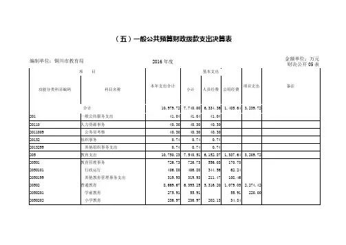 一般公共预算财政拨款支出决算表