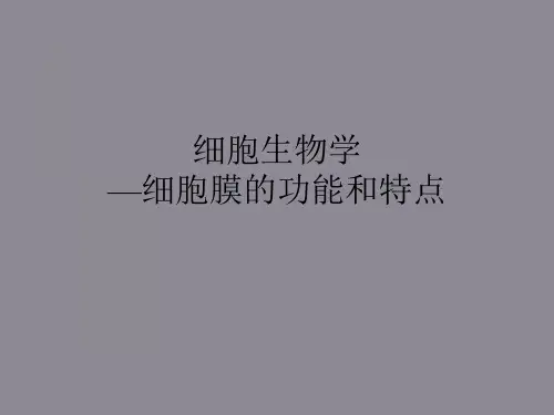 细胞生物学—细胞膜的功能和特点