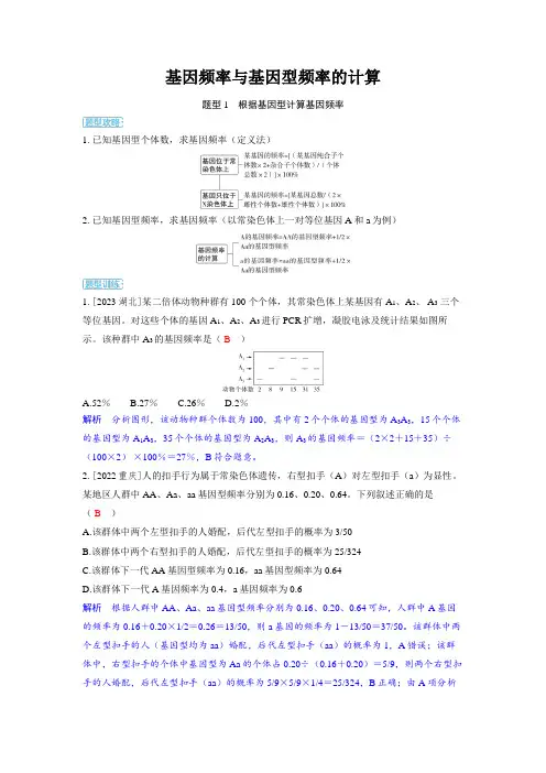 2025年高中生物高考精品备课教案：基因频率与基因型频率的计算