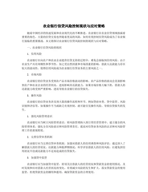 农业银行信贷风险控制现状与应对策略