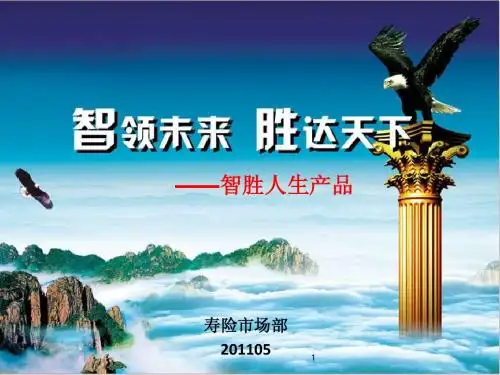 智胜人生产品