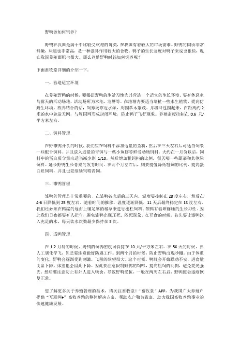 野鸭该如何饲养？