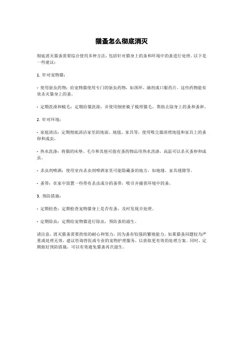 猫蚤怎么彻底消灭