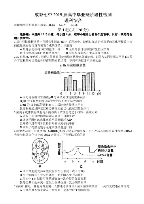 四川省成都七中2019届高三理综考试试卷(含答案)