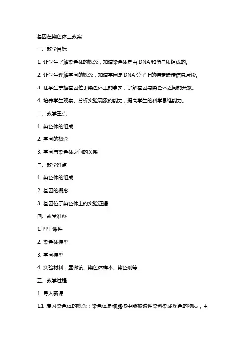 基因在染色体上教案