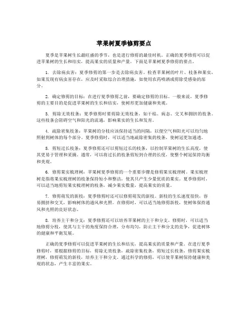 苹果树夏季修剪要点