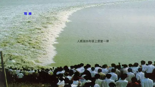 (2020年)四年级上册《观潮》(课件)