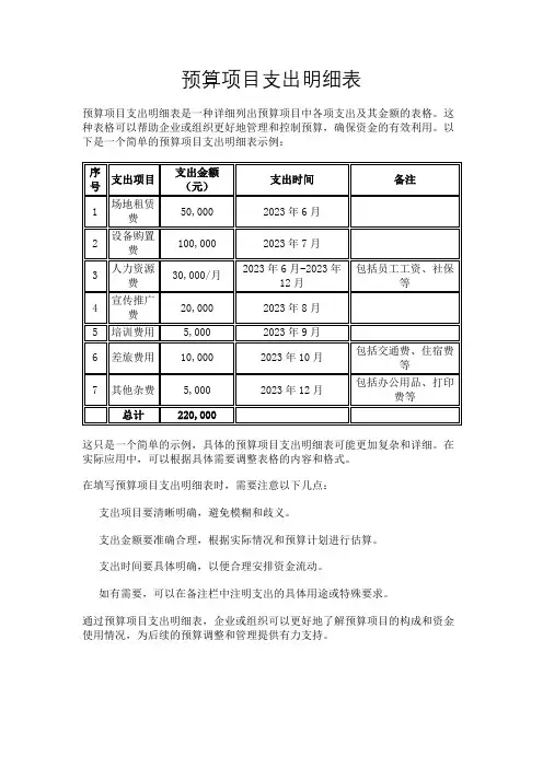 预算项目支出明细表