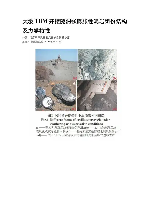大坂TBM开挖隧洞强膨胀性泥岩组份结构及力学特性