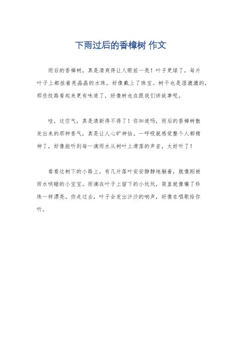 下雨过后的香樟树 作文