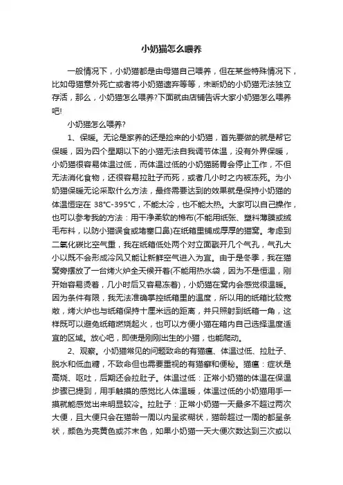 小奶猫怎么喂养