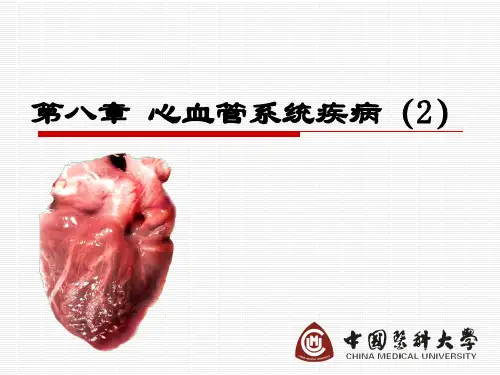 病理学2第八章 心血管系统疾病