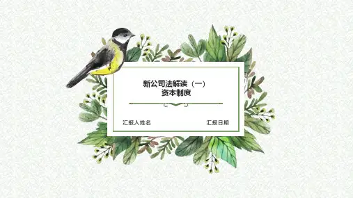 新公司法解读
