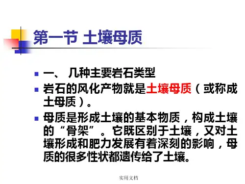 第一章  土壤母质与矿物质