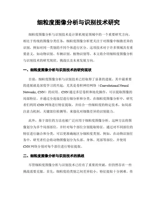 细粒度图像分析与识别技术研究