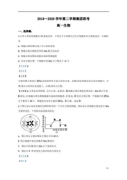 【精准解析】河北省石家庄市二中2019-2020学年高一下学期期末考试生物试题