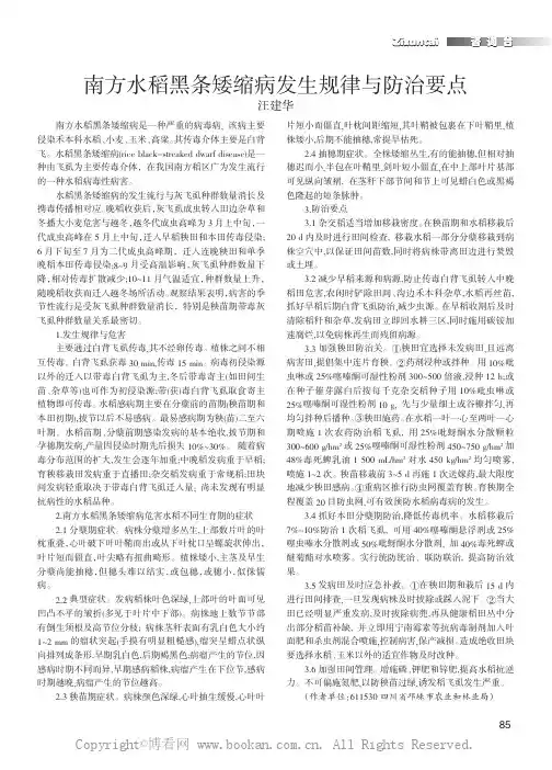 南方水稻黑条矮缩病发生规律与防治要点