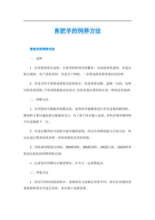 育肥羊的饲养方法