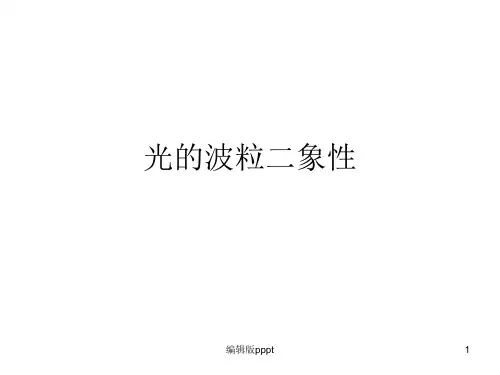 光的波粒二象性ppt课件