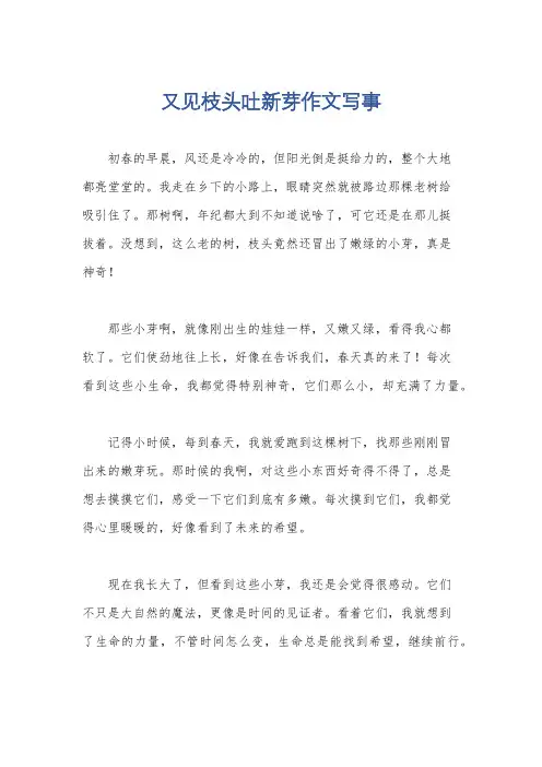 又见枝头吐新芽作文写事