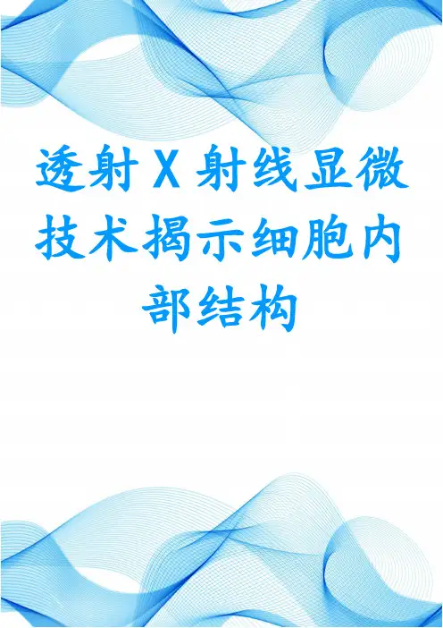 透射X射线显微技术揭示细胞内部结构