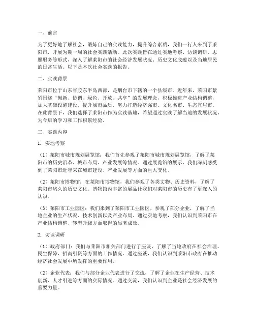莱阳社会实践报告