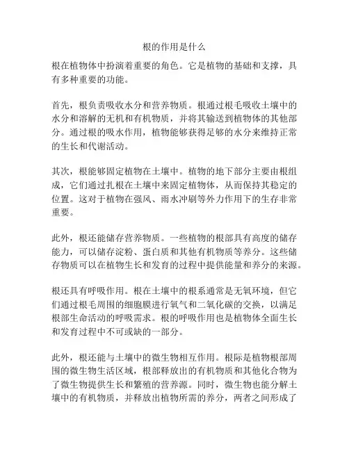 根的作用是什么