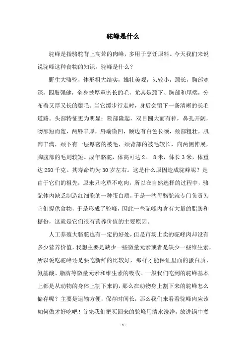 驼峰是什么