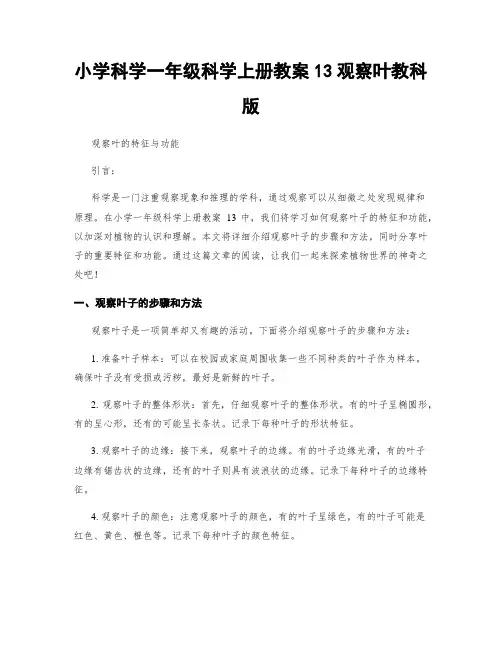 小学科学一年级科学上册教案13观察叶教科版