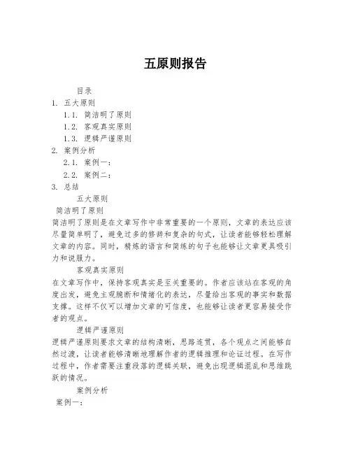 五原则报告