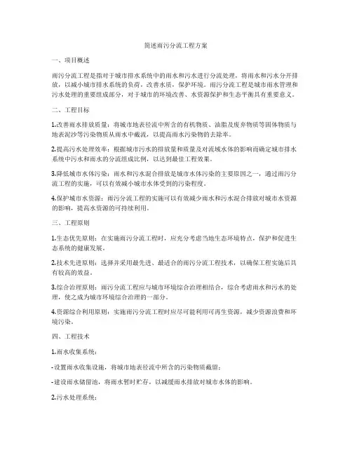 简述雨污分流工程方案