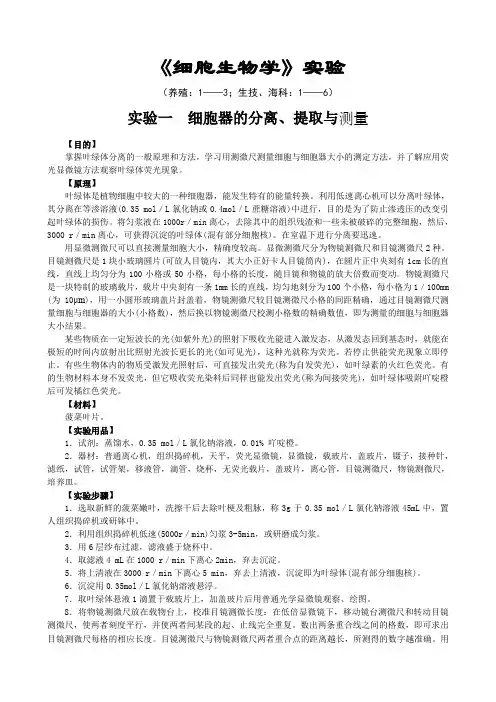 试验1细胞大小测定