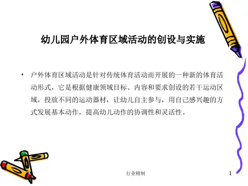 幼儿园户外体育区域活动的组织与实施专家知识