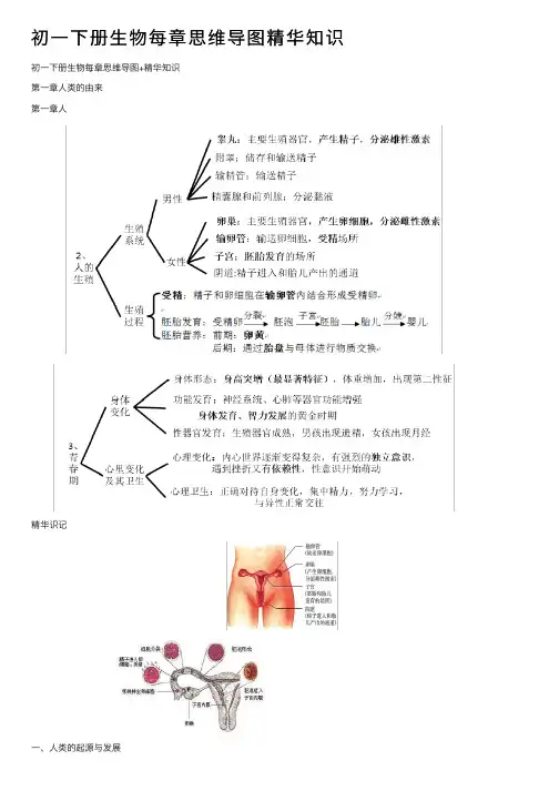 初一下册生物每章思维导图精华知识