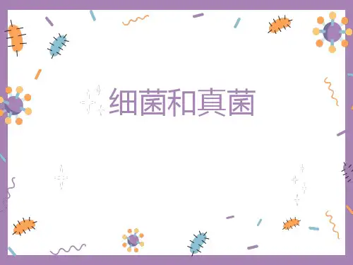 生物中考复习课件——微生物