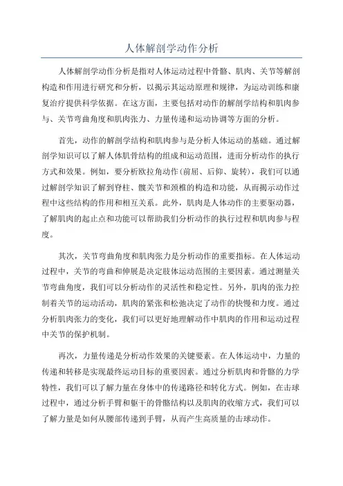 人体解剖学动作分析