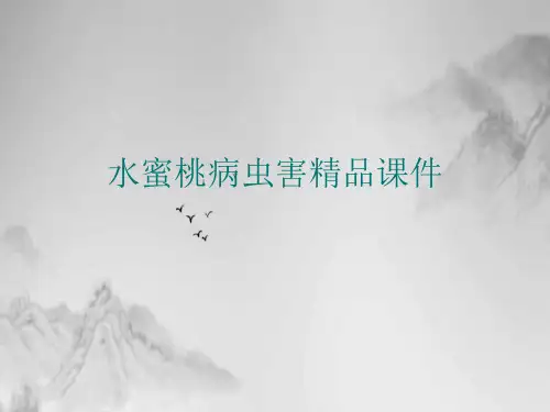 水蜜桃病虫害精品ppt课件