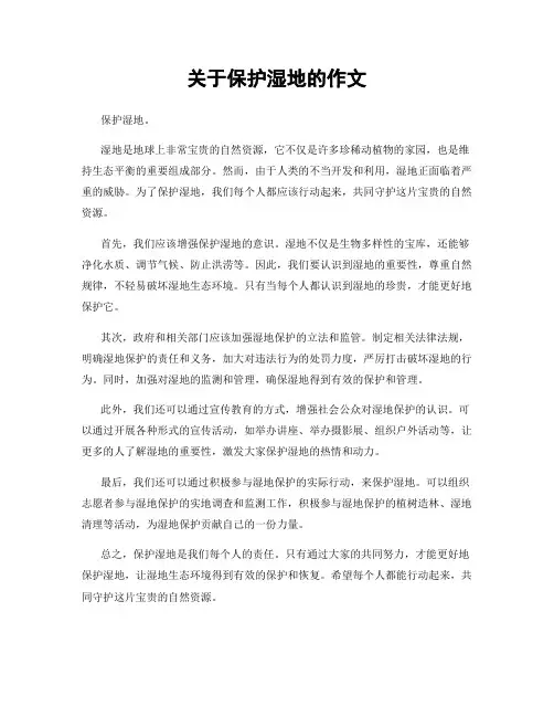 关于保护湿地的作文