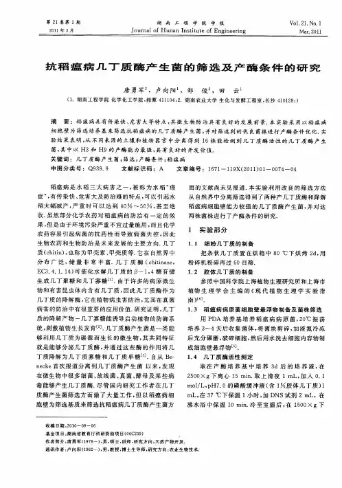抗稻瘟病几丁质酶产生菌的筛选及产酶条件的研究