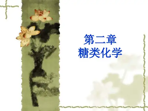 第二章  糖类化学
