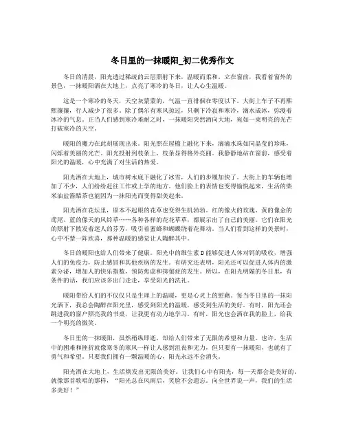 冬日里的一抹暖阳_初二优秀作文